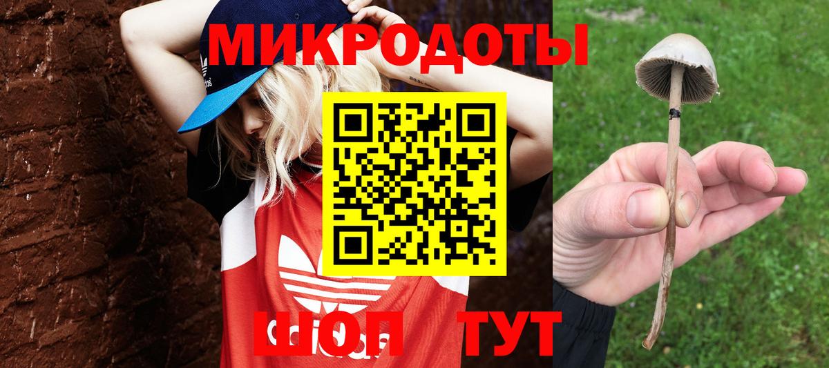 Псилоцибиновые грибы мицелий Светлоград