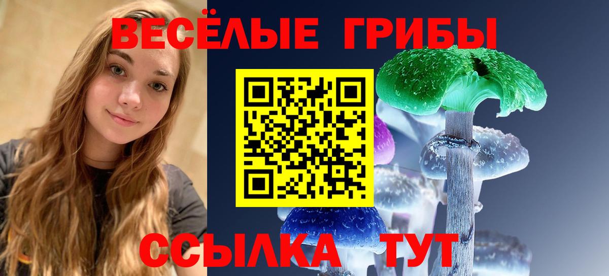 Псилоцибиновые грибы GOLDEN TEACHER  Вход с VPN  Светлоград 